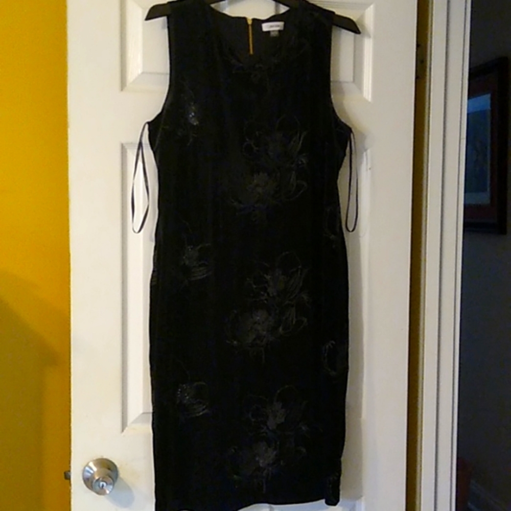 Beautifully embroidered black velour dress.